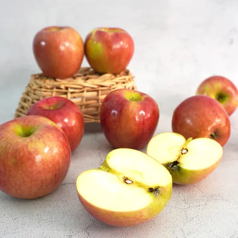 [더조은] 아리수 사과 가정용 5kg 25-28과