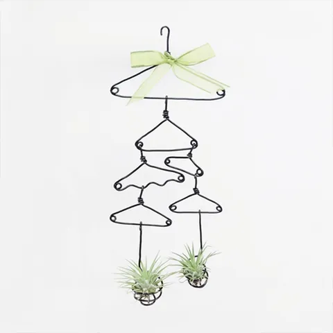 이오난사 와이어 옷걸이 행잉 만들기 세트 공기정화식물