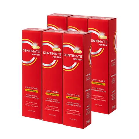 덴티메이트 1450 고불소 매스틱 충치케어 치약 민트향 150g 3+3입