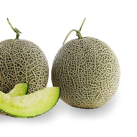 두레_머스크 메론 8kg내외[3~4수]