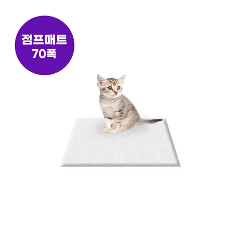 [폴딩70x60cm]  미끄럼방지 강아지 고양이 점프매트 슬개골탈구예방 14mm