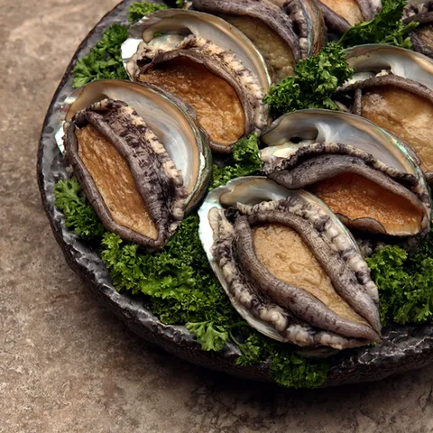 [오초록] 완도 活전복 1kg(18-20미) / 해수 산소포장