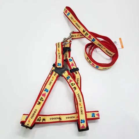 펫츠컴퍼니 X반도세트 20mm 색상랜덤