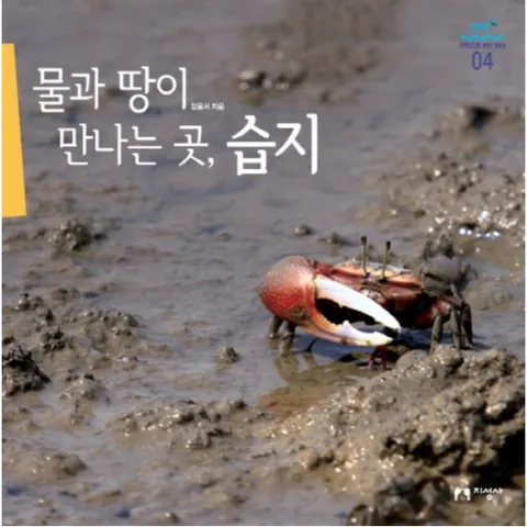 물과 땅이 만나는 곳 습지 : (과학으로 보는 바다 4)