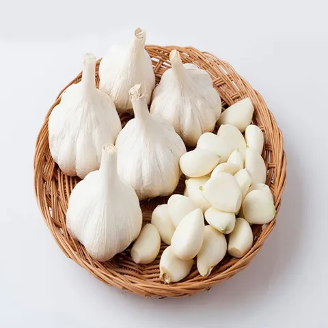 남해군 농협조공 햇 마늘 2kg 상등급 국산 남도마늘 통마늘 제철 채소 저장용 김장 요리 장아찌