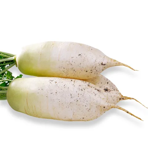 국내산 햇 흙 무 5kg 10kg