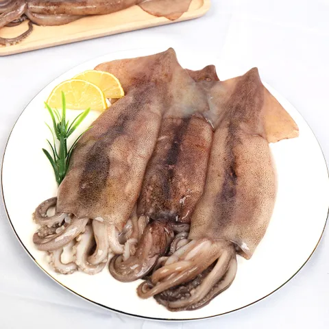 [미식한가] 원양산 냉동 손질 통오징어 (팩당 260g 내외) 2미 x 5팩