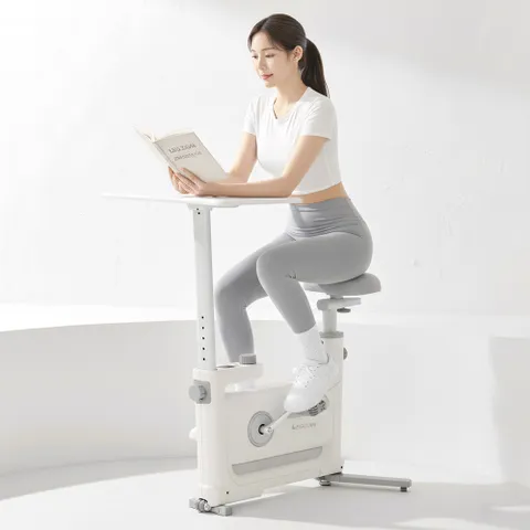 실내자전거 헬스사이클 데스크 바이크