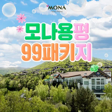 모나용평 워터파크 99패키지 2박 2인