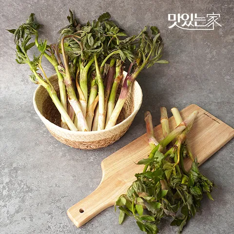 맛있는家 [더조은] 국내산 땅두릅 500g x 4팩