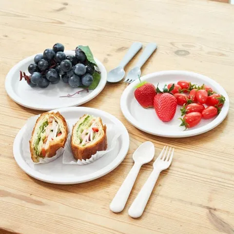 (플라팜) 피크닉 접시 대 5p 세트 14입 대량구매 플라스틱 피크닉접시 소풍접시 나들이 차박