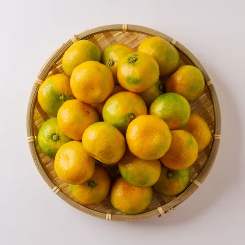 [작심밀도]제주직송 제주감귤 로얄과(S/M) 3kg