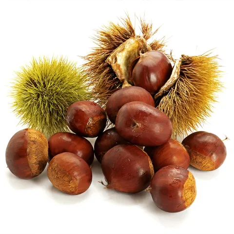 26년 부여 햇밤 중 대 특 사이즈 2kg 3kg 5kg