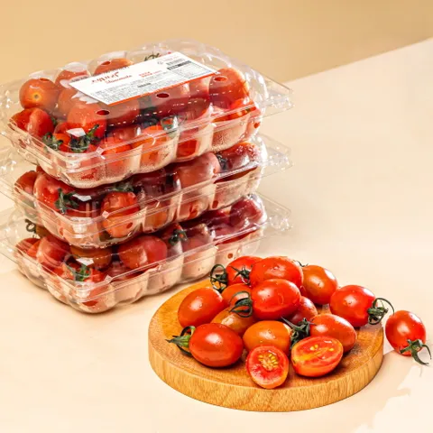 스테비아 대추 방울 토마토 1kg/2kg