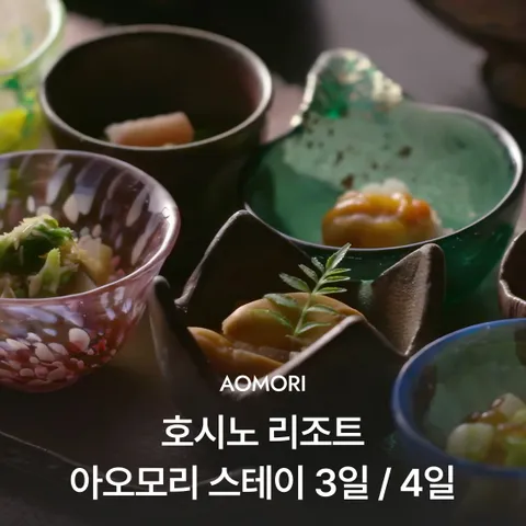 [럭셔리체크인] 아오모리 호시노리조트 #대한항공