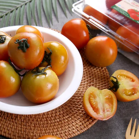 달콤 부드러운 다니 스테비아 완숙 토마토