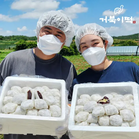 거북이떡 찹쌀모찌떡 앙버터 찹쌀떡 개별포장 (80g x 20/35알)