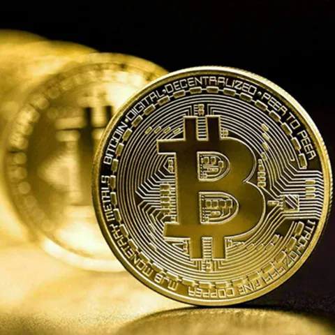 비트코인 모형 주화 재미있는 웃긴 선물 돌잡이 파티 비트코인모형 비트코인동전