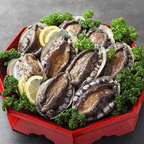 활 전복 1kg 11-12미