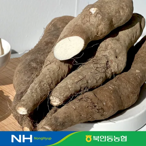 [농협인증] 안동 참마 (실속못난이)3kg