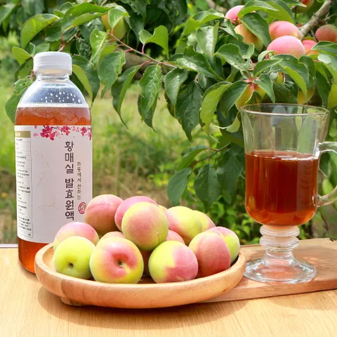 하동에서 전하는 3년 저온숙성 황매실청 1000ml 2병 (발효원액)