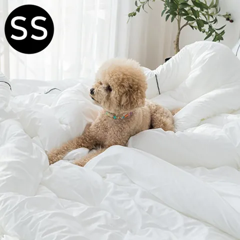 테라피 M2 호텔 차렵 이불 슈퍼싱글 SS (화이트) 이불 차렵 사계절차렵이불 사계절이불