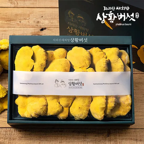 지리산새희망상황버섯  유기농 지리산상황버섯 선물용 500g 원형or슬라이스 택1