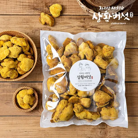 지리산새희망상황버섯  유기농 지리산상황버섯 알뜰용 500g 원형