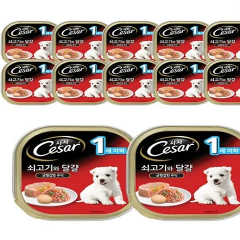 시저 퍼피 (1세이하) 소고기와 달걀 (100gx12개) 강아지주식캔