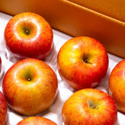 [미식한가] 경북 부사 꿀사과 가정용 5kg 22-24과