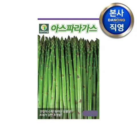 아스파라거스 씨앗 800립 . 아스파라가스 야채 채소 텃밭 파종 재배 씨 종자.