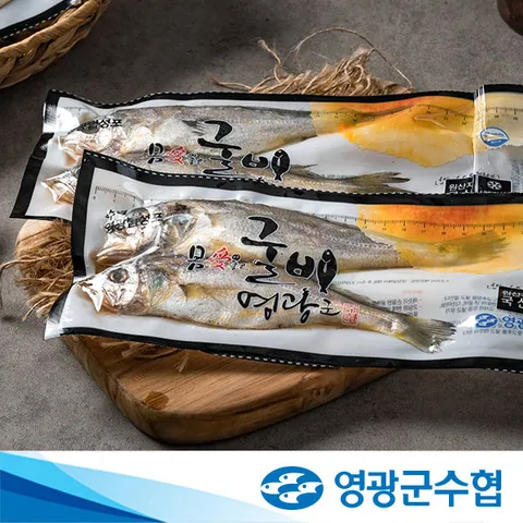 [영광군수협] 법성포 국내산 진공굴비 700g(10마리) x 2팩~4팩 선택형