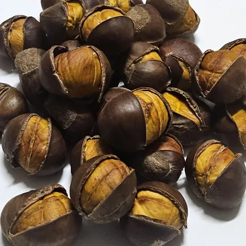 [품질보장] 약 단밤(칼집) 1kg