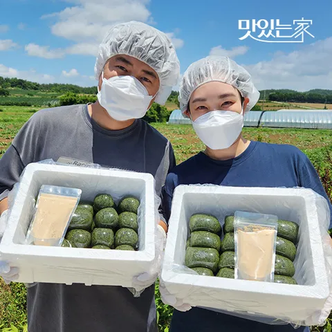 직접 농사지은 해남 찹쌀 해풍 쑥떡 2종