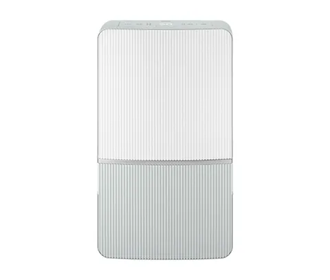 렌탈  인버터 제습기 21L DXWE210-NGK 60개월 16900