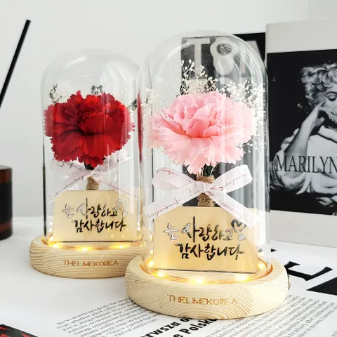 미스티 카네이션 꽃 유리돔 무드등 부모님 어버이날 선물