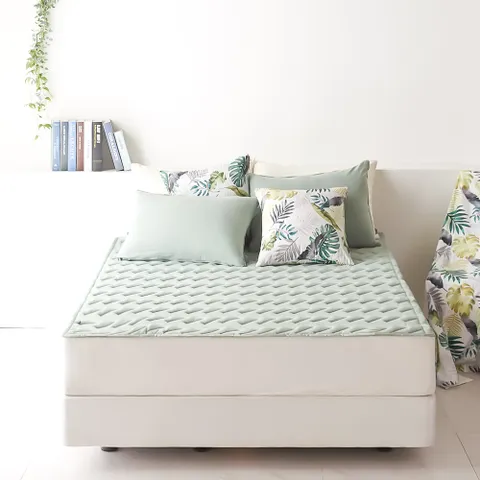 하우지안 보니움 먼지없는 알러지케어 패드 SS 4색상