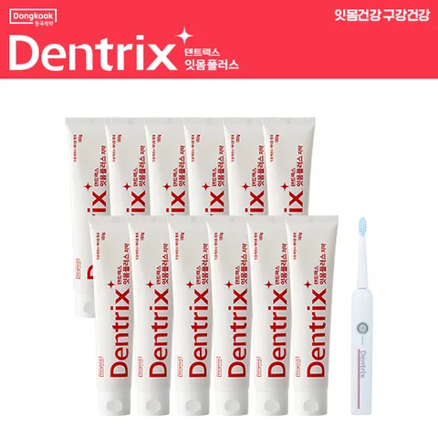 덴트릭스 잇몸플러스치약160g 12개 + 음파진동칫솔 1개