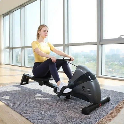 스케일 로잉머신 로윙머신 노젓기운동 전신운동기구