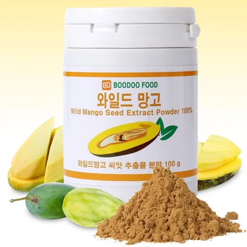 와일드망고 씨앗추출물 분말 200g 100gx2개 씨앗가루 망고분말
