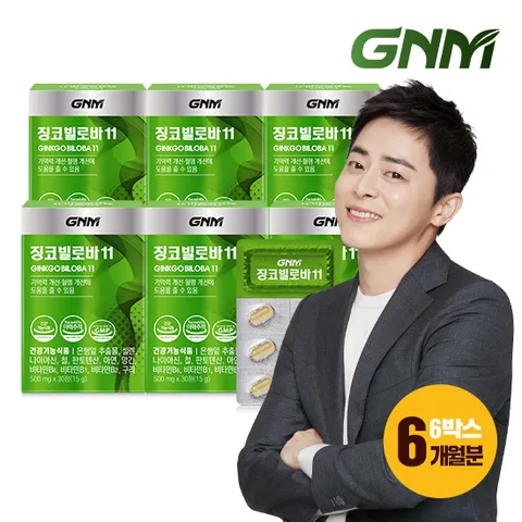 징코빌로바11 6박스 / 은행잎추출물 비타민B 아연 판토텐산