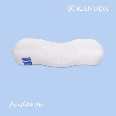 블루라벨 안단테 Soft 경추 기능성 베개