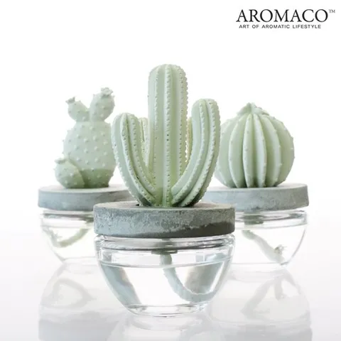 선인장디퓨저 100ml