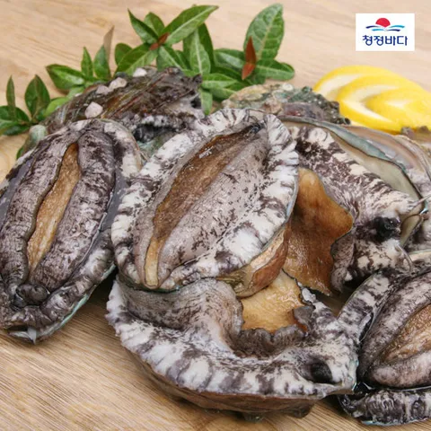 청정바다 활 참전복 중소 2kg/26-28미