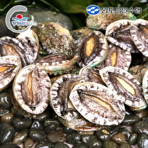 청정바다 활 참전복 실속구이용 1kg/20-25미