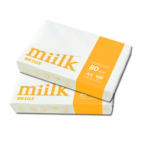 베이지 A4용지 80g 2권1000매 A4 복사용지 복사지