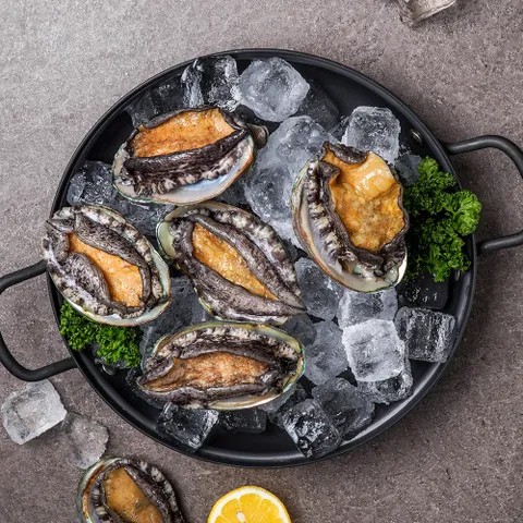 산지직송 진도 전복 활전복 대 1kg (11-12미)