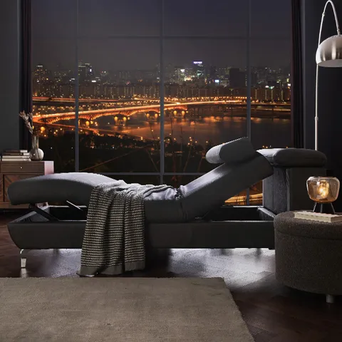 PookShuim 푹쉼 더킹 전동 모션 카우치