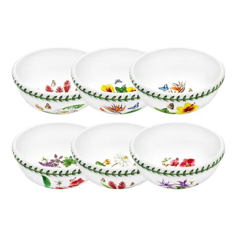 엑소틱 보타닉가든 국공기1p