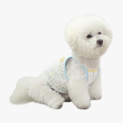 오가닉 리틀피아프 티셔츠 블루